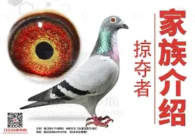 德布劳内悬念迭起赛后发声(瓜迪奥拉谈德布劳内续约曼城)|博雅捕鱼游戏